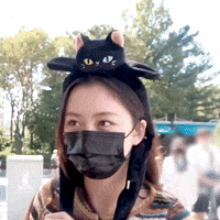 K Pop Cat GIF