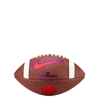 College Football Sticker by Clemson Tigers