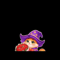 Cat Flower GIF by Bravo Bingo