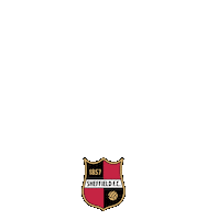 SheffieldFC football soccer fifa sheffield Sticker