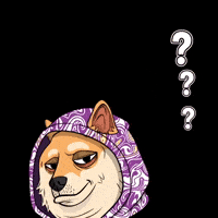 Shiba Inu What GIF by Doge Pound