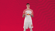 Oh Yeah Yes GIF by RB Leipzig