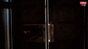 Reality Reaction GIF by Married At First Sight