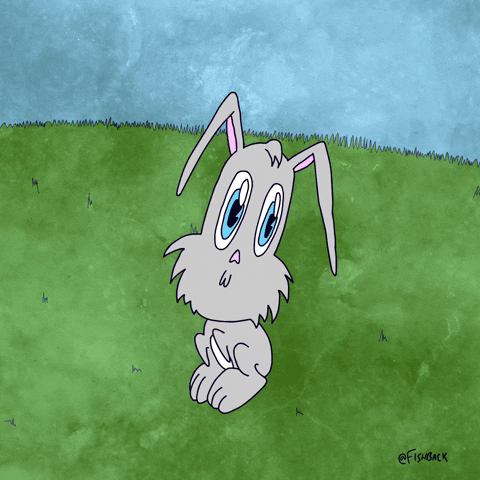 fishback giphyupload bunny rabbit transformation GIF