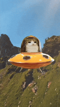 Silly GIF