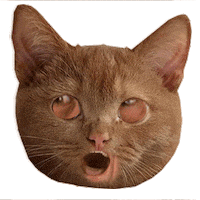 Happy Cats Sticker by PEEKASSO