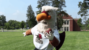 mascot griffins GIF by Gwynedd Mercy University