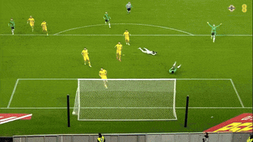 Jamie Reid Goal GIF by Northern Ireland