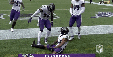 Regular Season Football GIF by NFL