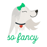 fancy poodle Sticker by Rover.com