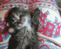 Good Morning Beautiful Buenos Dias GIF by good-morning