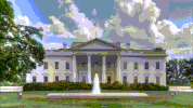 trump president GIF