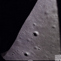 Moon Landing GIF by BBC America
