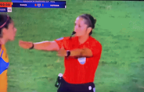 Savage0ffTheTopRope tigres la maga ovalle vs ref lizbeth ovalle GIF