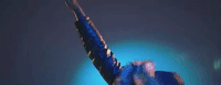 young thug dj holiday GIF by Worldstar Hip Hop