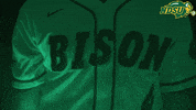 North Dakota State Bat GIF by NDSU Athletics