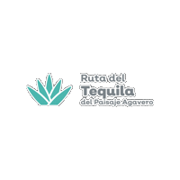 Tequila Agave Sticker by Secturjal