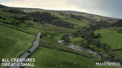 Driving On The Road GIF by MASTERPIECE | PBS