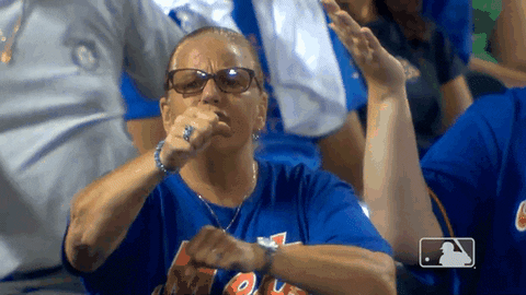 Ny Mets Sport GIF by New York Mets