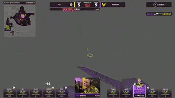 Esports Gamer GIF by BLAST
