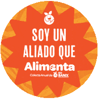 Colecta Aliado Sticker by Red BAMX