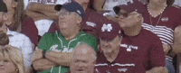 World Series Baseball GIF by NCAA Championships