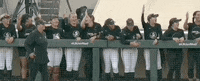 Softball Lsu GIF by NCAA Championships