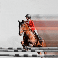Tijuana GIF by ClubHipicoCaliente