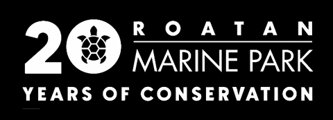 Anniversary GIF by Roatan Marine Park