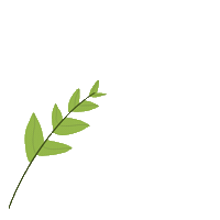 Plant Sticker