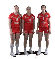 Sport Volleyball Sticker by LP Viesti