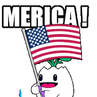United States Usa Sticker by Magic Eden