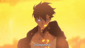 Solo Leveling Sung GIF