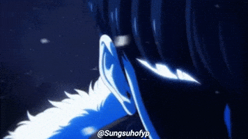 Solo Leveling Sung GIF