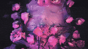 Blinking Last Word GIF by Baroness