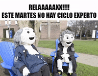 gramar_especialisya  GIF