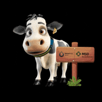 Msdsaudeanimal GIF by MSD Pecuária Brasil