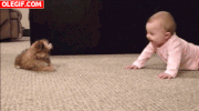 parte GIF