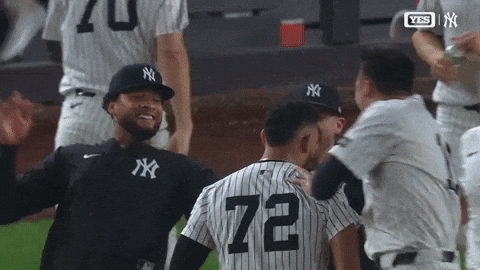New York Yankees Win GIF by MLB