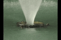 Water Waterfall GIF by DIIMSA Stock