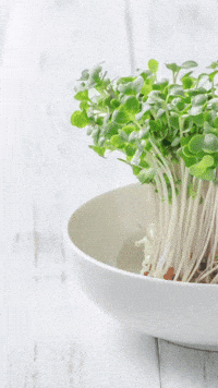 Detox Autism GIF by Jennifer Accomando