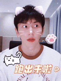 Cat Kitty GIF