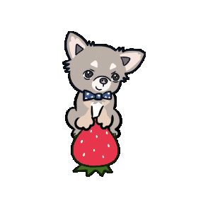 Dog Strawberry Sticker