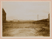 Balancing Act Fitness GIF by GIF IT UP