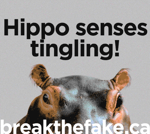 MediaSmarts giphyupload GIF