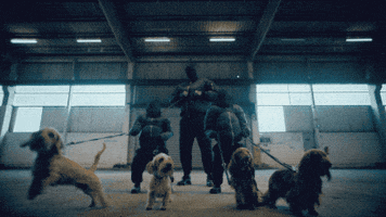 UniversalMusicDE show performance auto matrix GIF