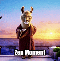 Sunset Zen Moment GIF by dalaillamazen