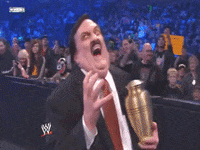 pro wrestling wwe GIF