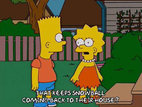 bart simpson GIF