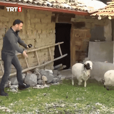 Listen One Minute GIF by TRT